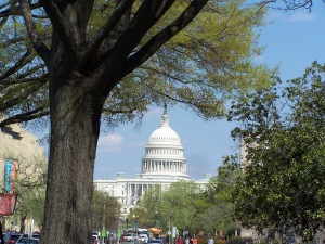 the Capitol building